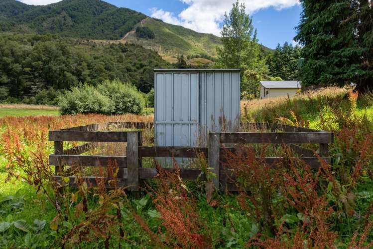 1153 Shenandoah Highway Murchison_34