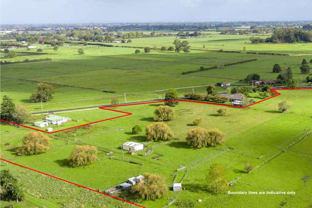 Graze, maize or lifestyle