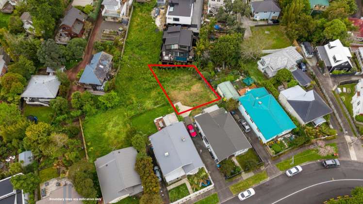 41A Mountain View Road Morningside_3