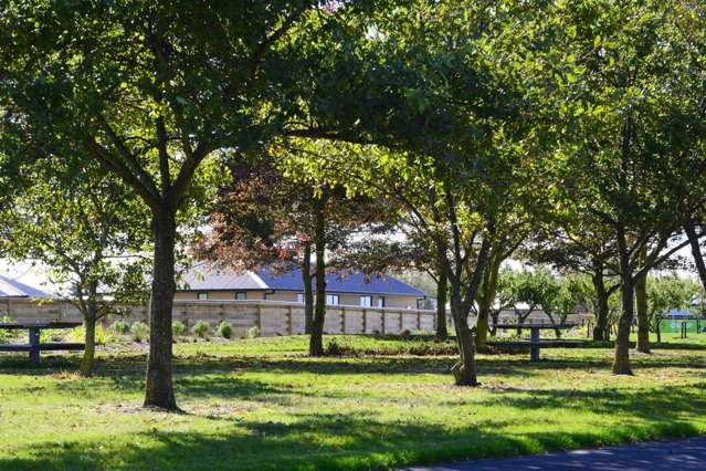 31 Vista Crescent Rolleston_4