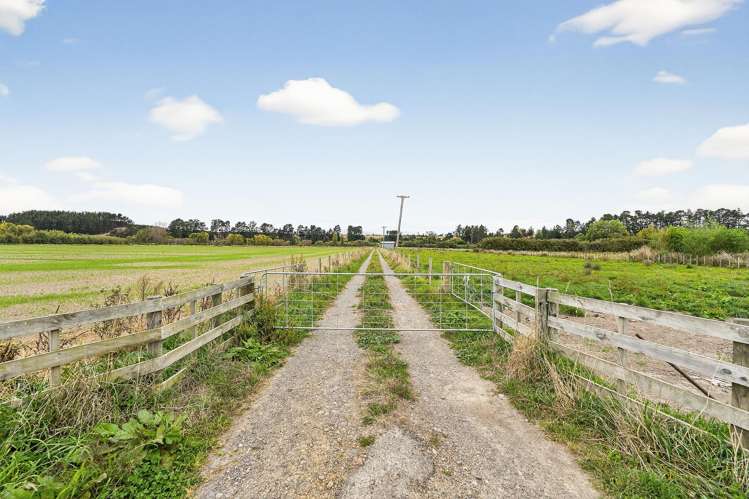 206 Almadale Road Cheltenham_5