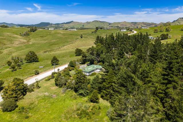 236 Prictor Road Wellsford_2