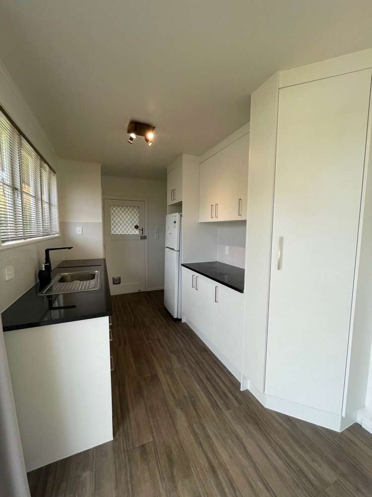 13 Linden Street Mount Roskill_10