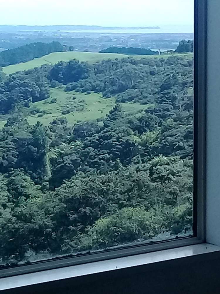 299 Kiwitahi Road Helensville_14