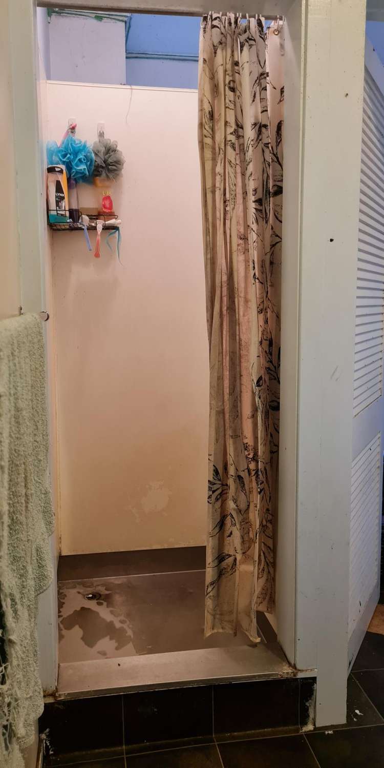 17 Rimu Street Gonville_10