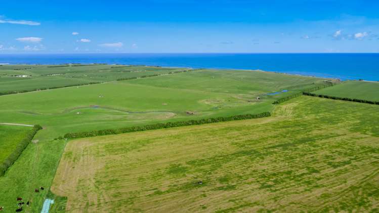 2585 South Road Otakeho_16