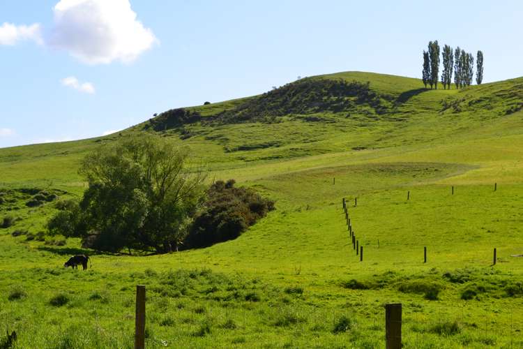 600 Island Stream Road Five Forks and Surrounds_9