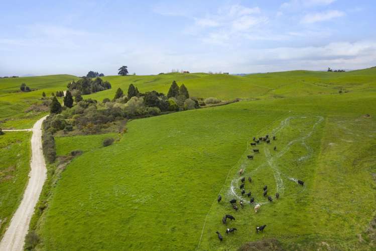 386 Troopers Road Te Kuiti_5