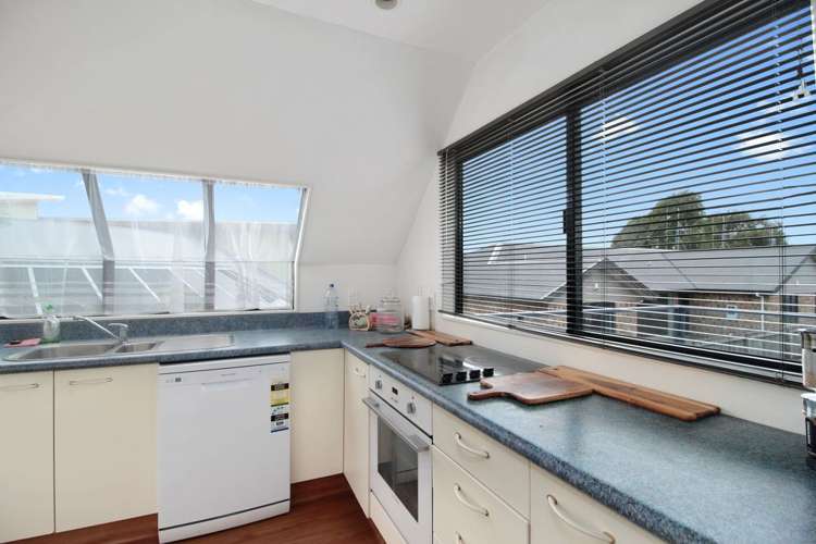 444b Tristram Street Whitiora_1