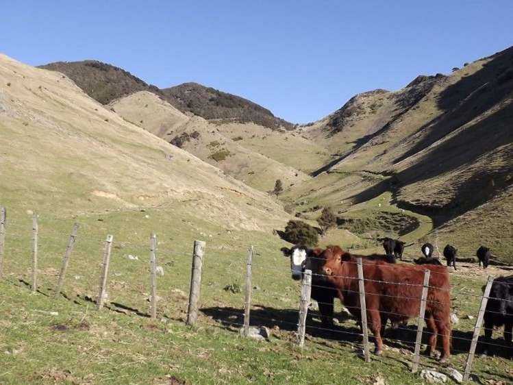 704 Mangatarere Valley Road Carterton_18