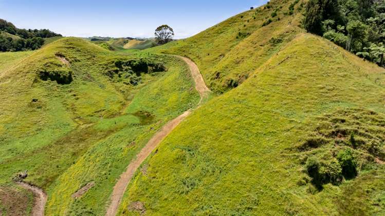 162 Standish Road Toko_9