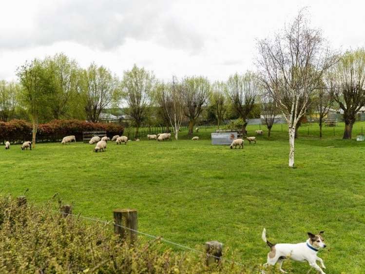 2 Viax Lane Waipukurau and Surrounds_13