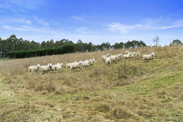 263 Foothills Road Okuku_20