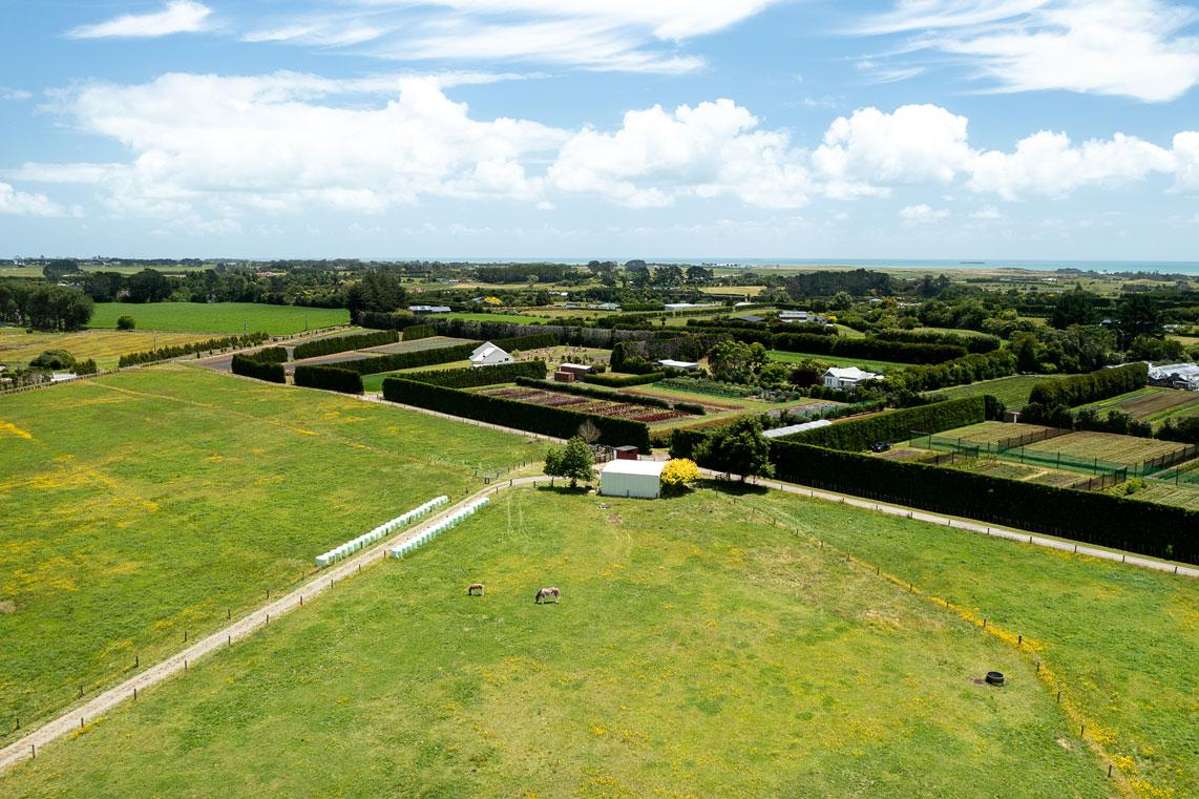 202 Kairau Road East_2