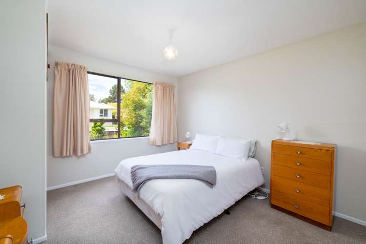 53 Waratah Street Avondale_8