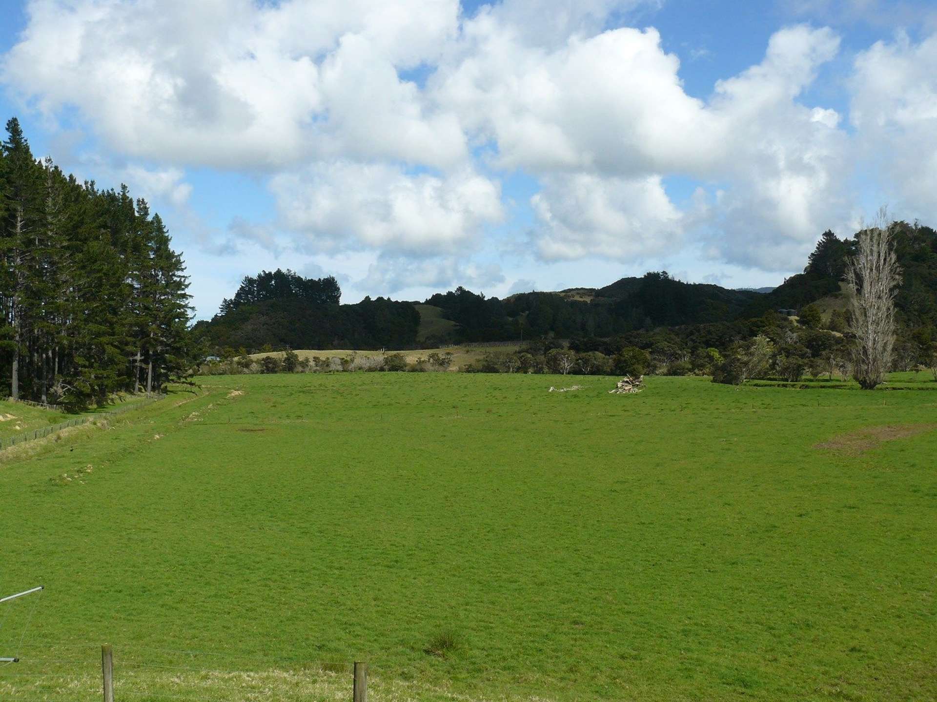 259 Diggers Valley Road Herekino_0