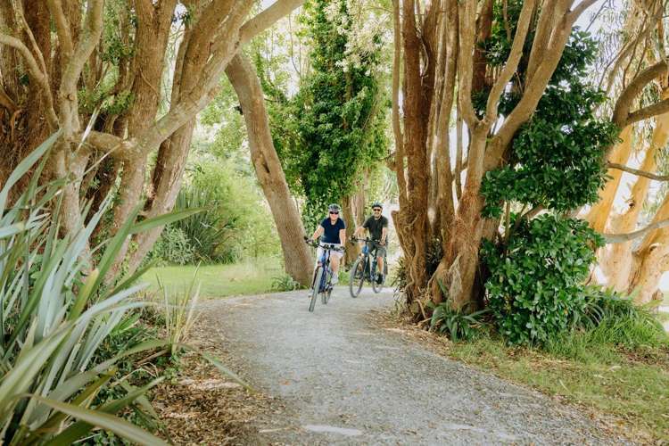 11c Western Avenue Omokoroa_11