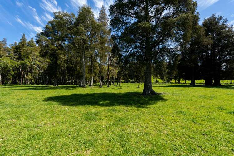 22 Bristow Road Kawakawa_31