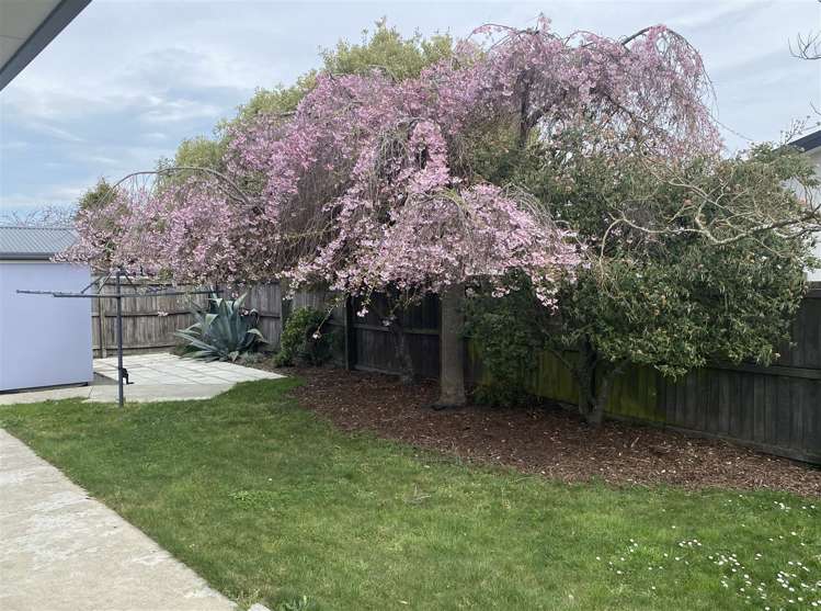 2/36 Reginald Street Burwood_9