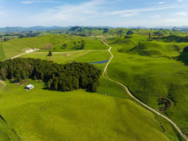 385 Whirinaki Valley Road Rotorua Surrounds_13