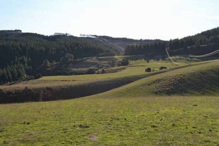 101 Wairongoa Road North Taieri_9