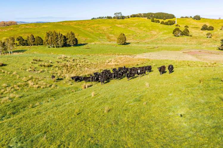 80 Harrison Road Waiotira_24