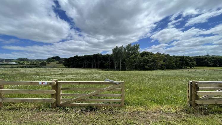 lot 10/87 Dean Road Pōkeno_8