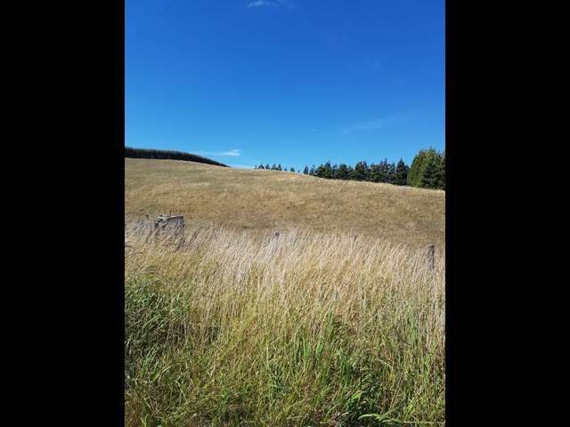 592 Falls Road Waerenga_3