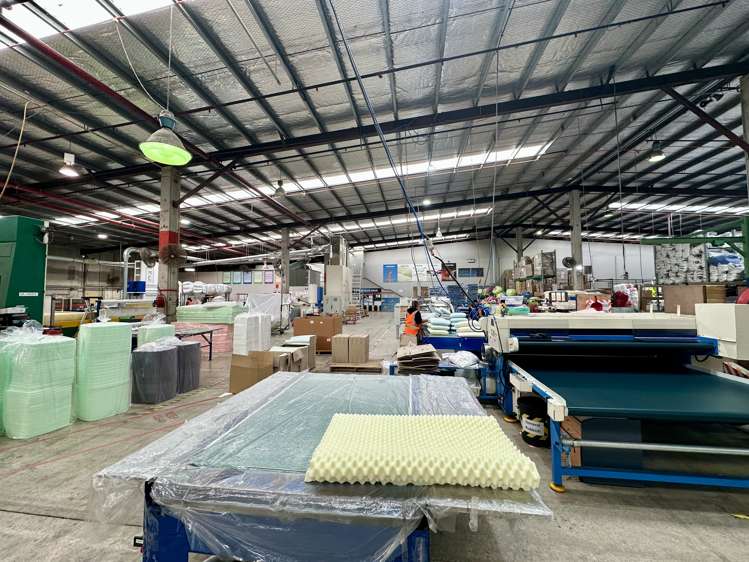 670 Rosebank Road Avondale_7