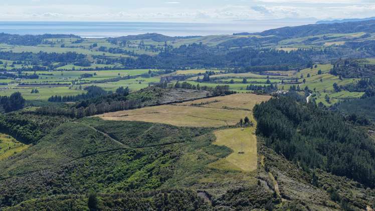 1419 Collingwood-Bainham Main Road Collingwood_7