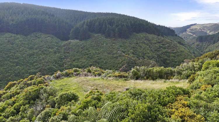 106 Harrison Hill Road Aokautere_6