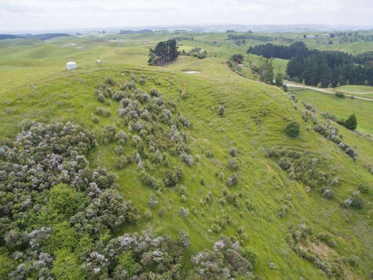 11 Ridge Road Pohangina_11