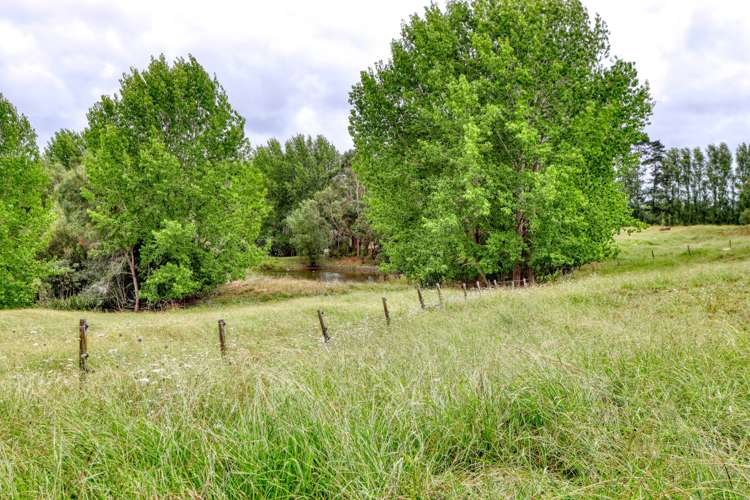 75 Homestead Lane Kaiwaka_24