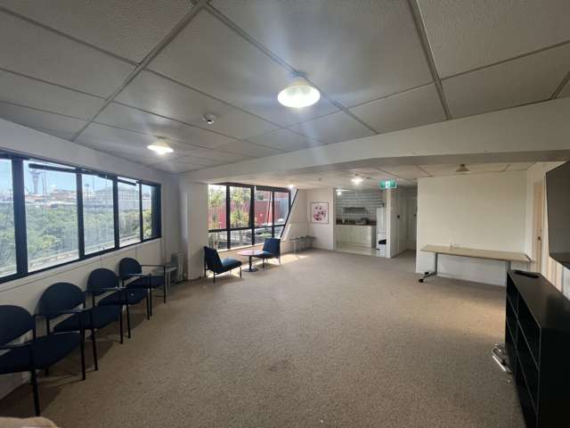 9 Karaka Street Eden Terrace_3