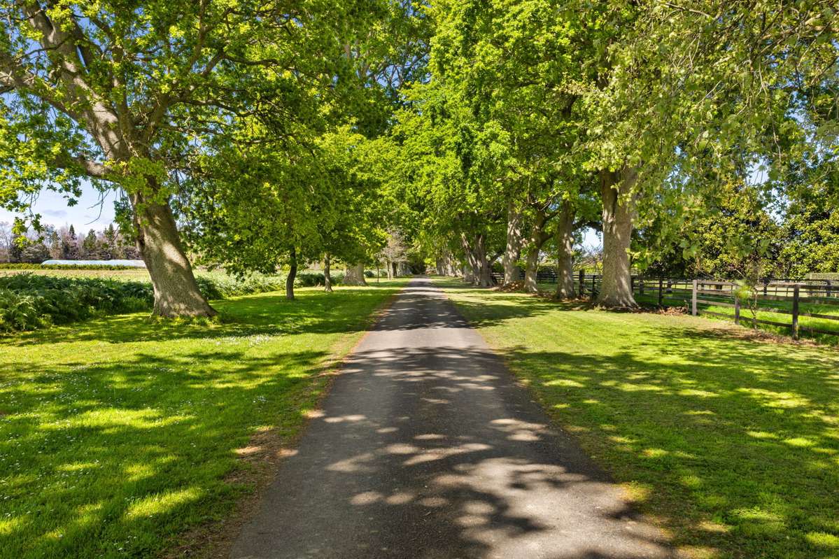 491E Bruntwood Road_4