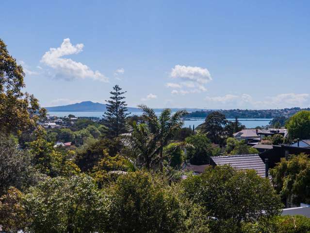 89 Bassett Road Remuera_2