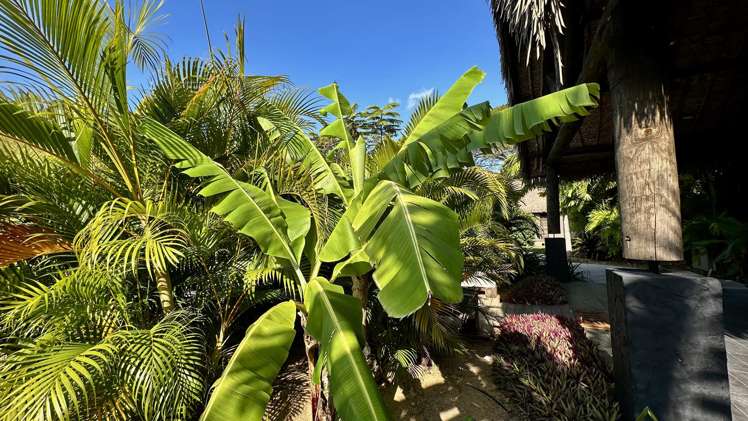 27 Vunabaka Malolo Island_29