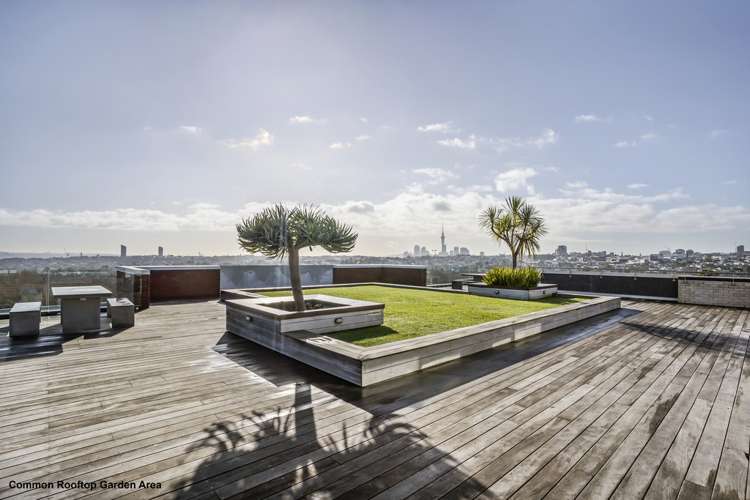 204/54 Surrey Crescent Grey Lynn_11