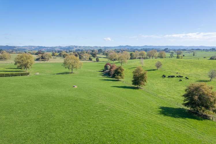 103 Jury Road Ngahinapouri_25