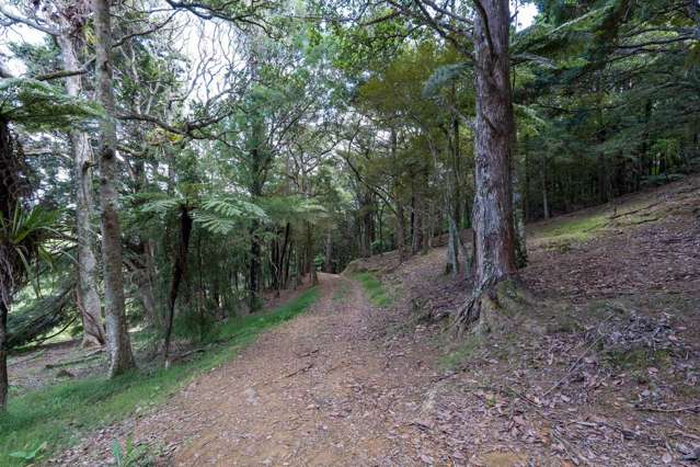 229 Hupara Road Pakaraka_4