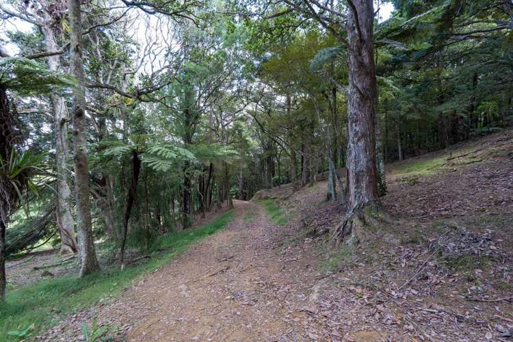 229 Hupara Road Pakaraka_4