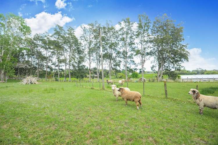 48 Durey Road Dairy Flat_24