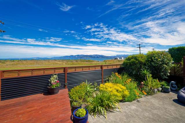 Seaside Sea Life with Expansive Ocean Views