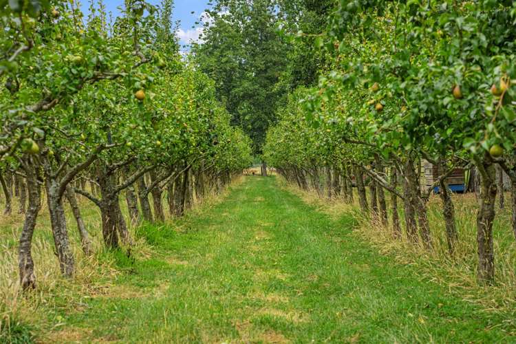 96 Berquist Road Ohaupo_17