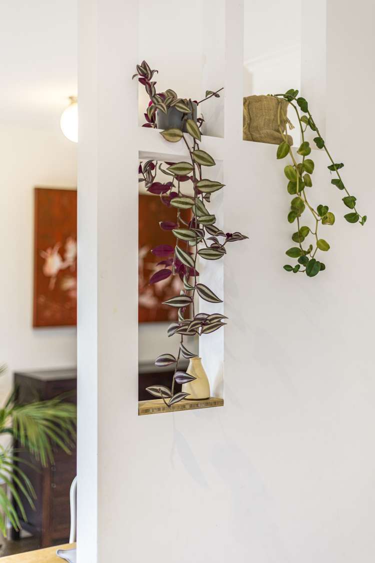 3/7 Everest Street Devonport_11