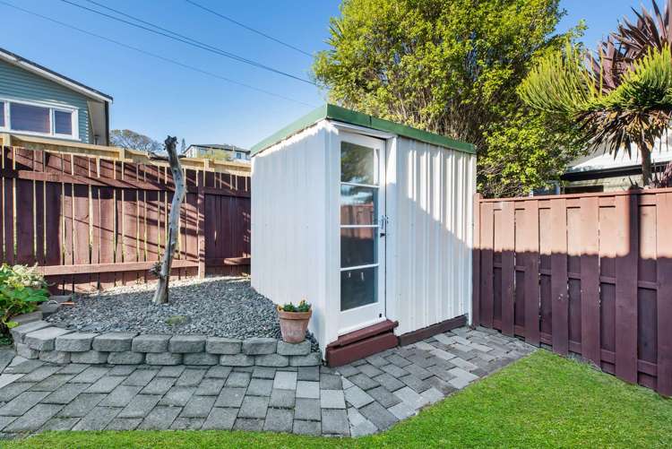 81 Awaroa Road Sunnyvale_13