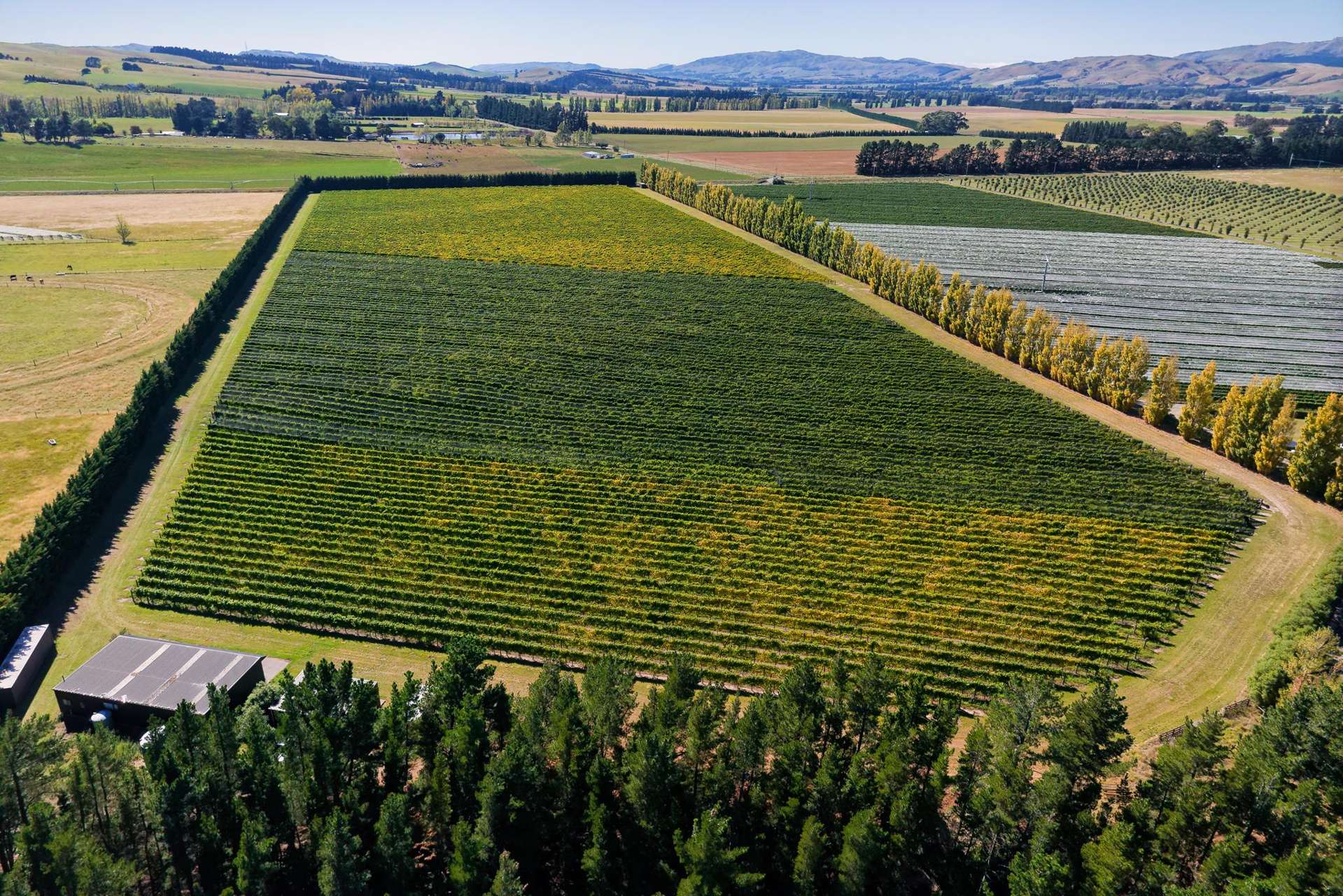 253 Mackenzies Road Waipara_0