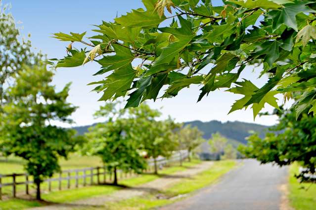 681 Whitford-Maraetai Road Beachlands_3