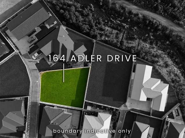 164 Adler Drive Ohauiti_3