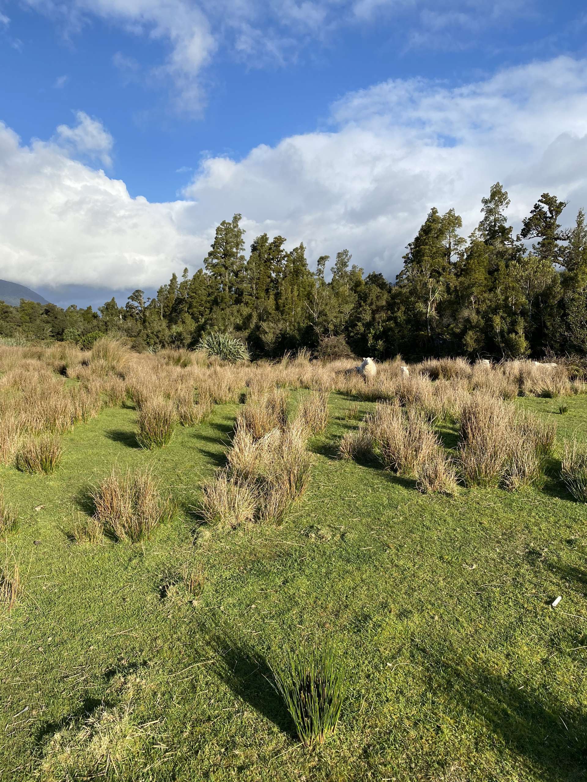 13 Tahutahi Road Haast_0